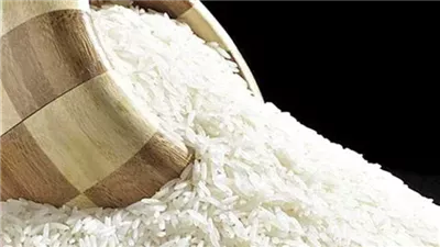 سعر الأرز الشعير والأبيض اليوم السبت 17 أغسطس 2024..بالكيلو والطن