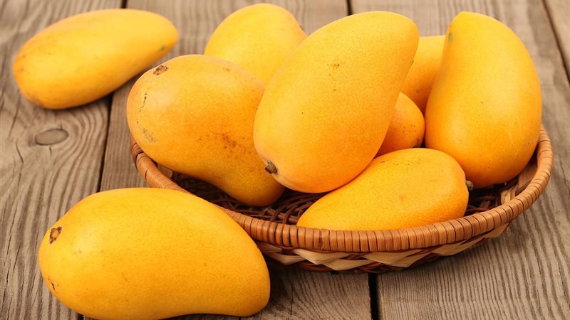 الموجز