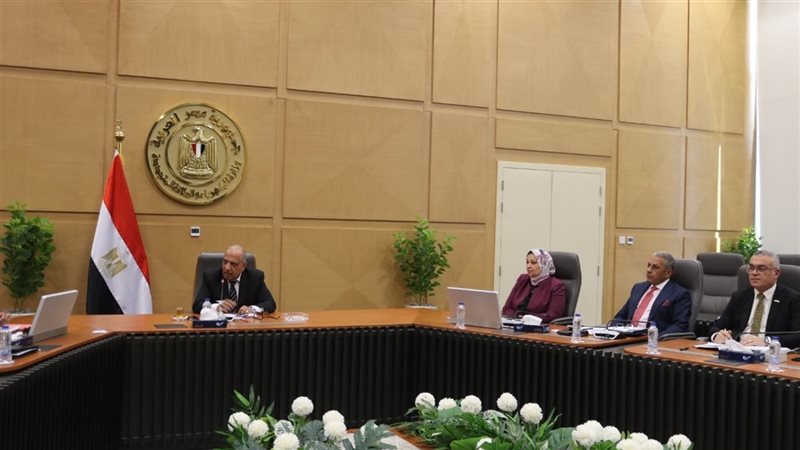 مشروع الربط الكهربائي