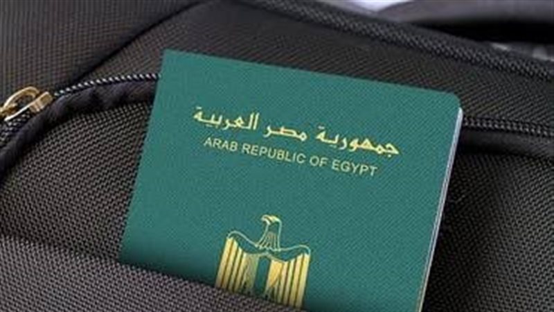تأشيرة السفر
