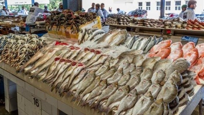 أسعار الأسماك اليوم