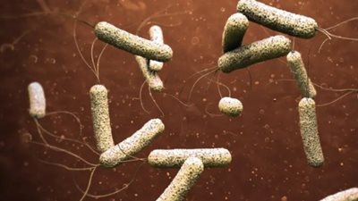 حقيقة رصد حالات لمرض الكوليرا في مصر.. «طرق مواجهة المرض» 