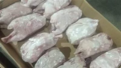 الموجز تكشف جهود بطري الشرقية لمنع كارثة غذائية قبل وصولها إلى المواطنين