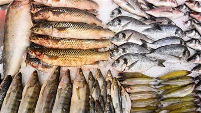 أسعار الأسماك اليوم الأربعاء 28-8-2024 في سوق العبور