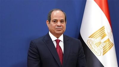 الرئيس السيسي لوفد الكونجرس الأمريكي: عازمون على وضع حد للكارثة الإنسانية في غزة