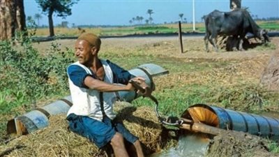 اختبار اللهجة الفلاحي يتصدر التريند المصري : ما مدى معرفتك بالحياة الريفية؟