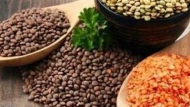 اسعار البقوليات