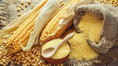 شوف وصلت كام.. سعر علف دواجن التسمين اليوم الأحد 1-9-2024