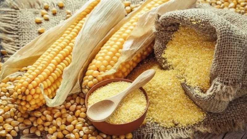 اسعار الأعلاف والذرة
