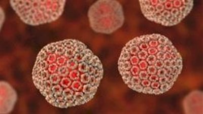 ولاية أمريكية تحذر من حمى الوادي عقب مهرجان موسيقي.. ما القصة؟