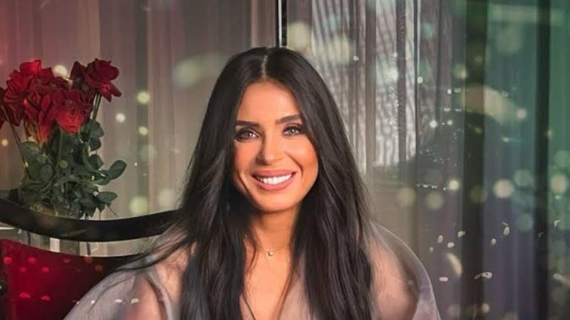 الفنانة دينا
