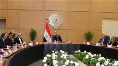 مواجهة سرقات الكهرباء.. تفاصيل اجتماع عصمت مع ورؤساء شركات التوزيع