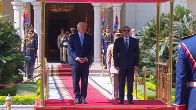 أبرزها الحرب علي غزة.. تفاصيل مباحثات الرئيس السيسي ونظيره الألماني