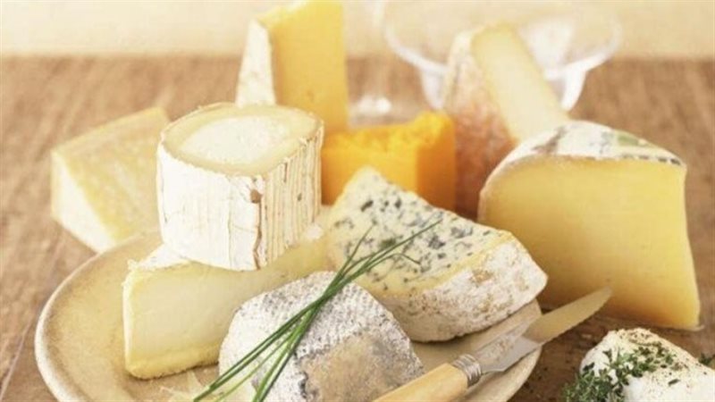 اسعار الألبان ومنتجاتها