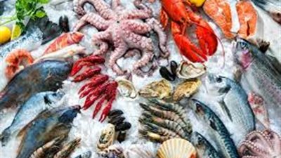 أسعار السمك البلطي والجمبري اليوم الثلاثاء 1-10-2024 في سوق العبور 