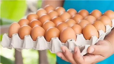 بشرى لكل الأمهات.. الحكومة تعلن طرح كرتونة البيض بـ 150 جنيها