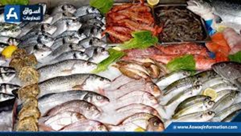 أسعار السمك والجمبري