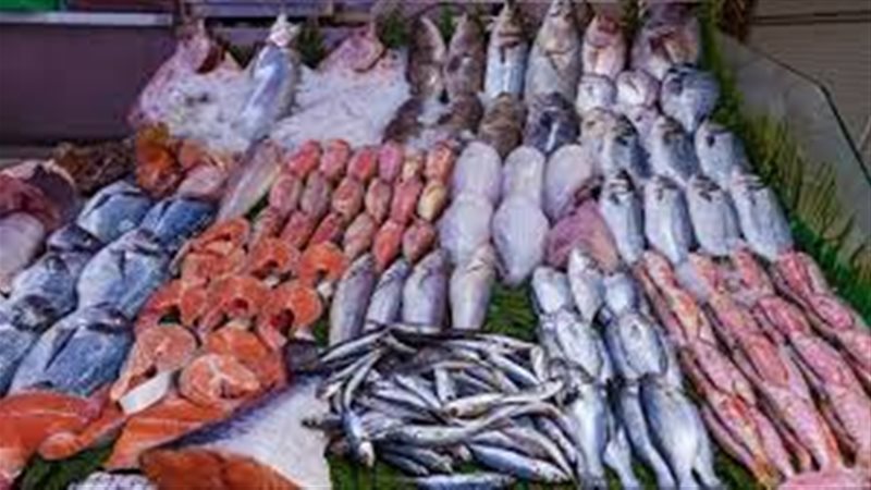 أسعار الأسماك اليوم