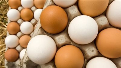 منها اللب الأبيض .. 6 بدائل للبيض بها نفس الفوائد الصحية 