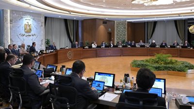 أبرزها ضبط أسعار 7 سلع استراتيجية بالأسواق.. أهم قرارات مجلس الوزراء اليوم