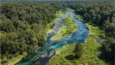 يمزج الغرابة بالطبيعة الخلابة.. هل سمعت عن «النهر الكسول الطبيعي»؟