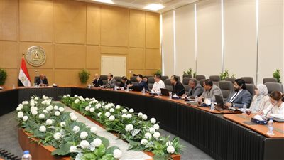 مشروعات توليد الكهرباء ومنع السرقات.. مصر والصين تجتمعان لبحث سبل التعاون