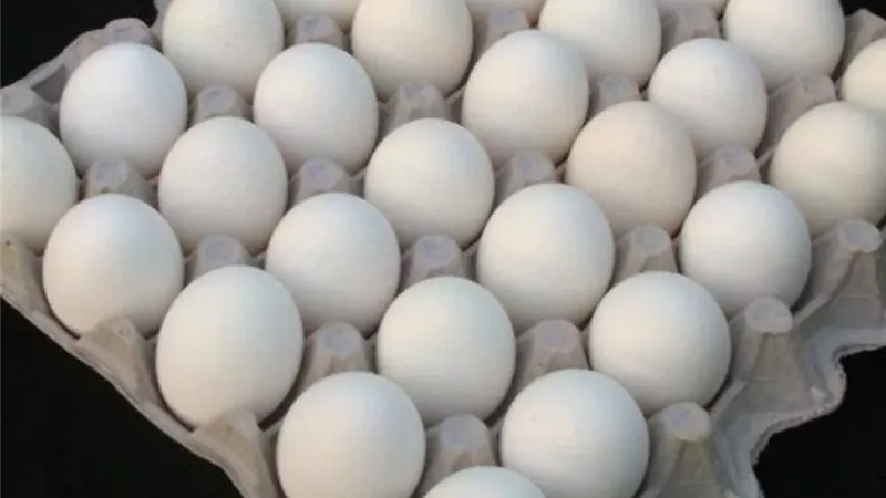 أسعار البيض داخل