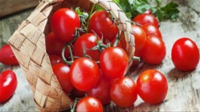 متى تنخفض أسعار الطماطم في الأسواق؟ .. شعبة الخضروات تجيب