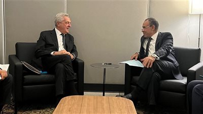 مصر الثالثة عالميًا في استقبال اللاجئين: لقاء وزير الخارجية بالمفوض السامي للأمم المتحدة