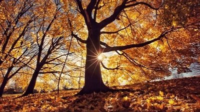 أول ايام الخريف.. توقعات الطقس ليوم الأحد 22 سبتمبر 2024