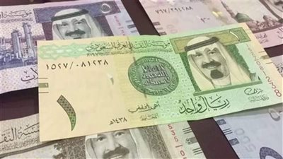 بكام سعر الريال السعودي اليوم مقابل الجنيه المصري