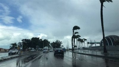 حقيقة تعطيل الدراسة في الإسكندرية بسبب سوء الأحوال الجوية