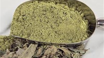 فوائد السدر المطحون للشعر.. سحر طبيعي لشعر صحي وجميل