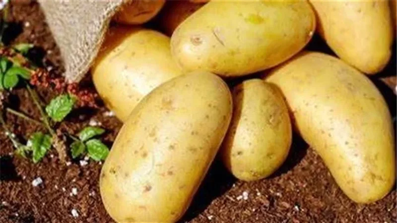 موعد انخفاض أسعار