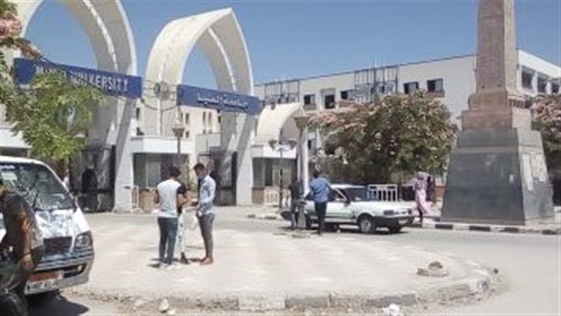 جامعة المنيا