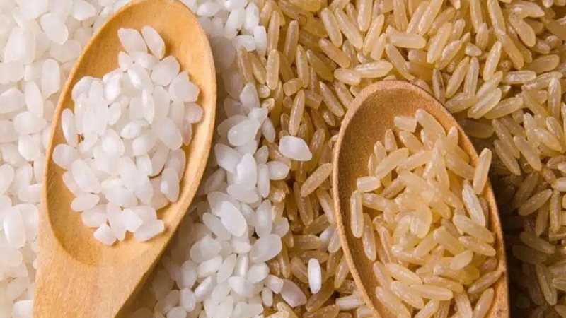 سعر طن الأرز الشعير