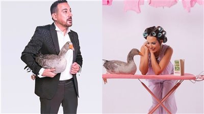 «عايزة الوزة بتاعتي».. عمل فني جديد يجمع ساندي ودياب| إليك التفاصيل