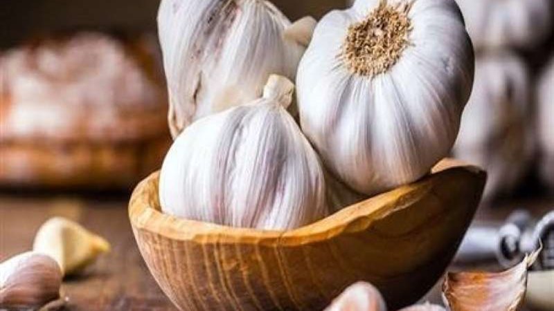 أسعار الثوم