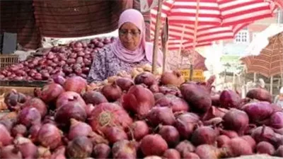 بكام البصل؟.. سعر البصل اليوم داخل الأسواق المصرية 2024
