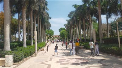 فتح الحدائق اليوم مجانا للمواطنين بمناسبة انتصارات.. اعرف الأماكن