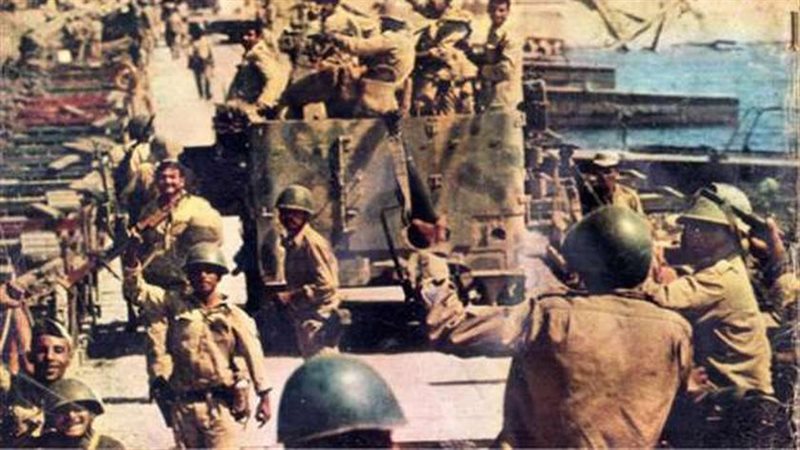 عدد شهداء مصر في