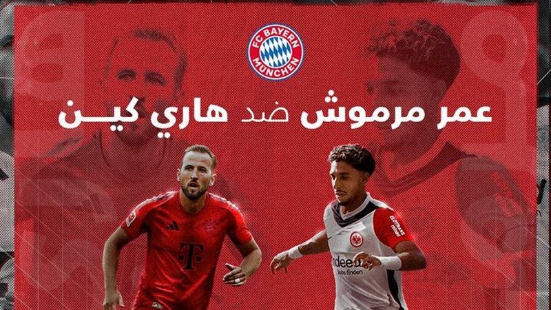 عمر مرموش ضد هاري