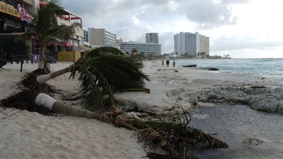 إعصار ميلتون بفلوريدا.. سرعة رياح تصل إلى 155 ميلاً في الساعة