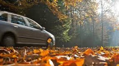 بسبب الطقس المضطرب.. نصائح للقيادة بأمان في فصل الخريف