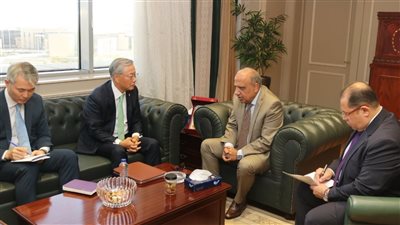 مصر وكوريا الجنوبية تتفقان على تنفيذ مشروعات الطاقة المتجددة.. إليك التفاصيل