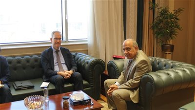 تعاون بين مصر والسويد.. خطة التحول من الشبكات التقليدية إلى الذكية