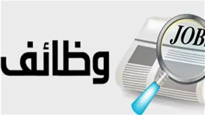 فرص عمل جديدة.. شروط وظائف مياه القاهرة والأوراق المطلوبة 