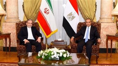 مباحثات وزير الخارجية ونظيره الإيراني تؤكد ضرورة التعامل بحذر لمنع الإنزلاق لحرب إقليمية