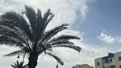 حالة الطقس اليوم السبت 19 أكتوبر 2024..  درجات الحرارة في مصر 