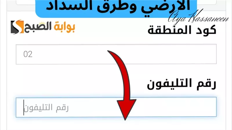 الاستعلام عن فاتورة